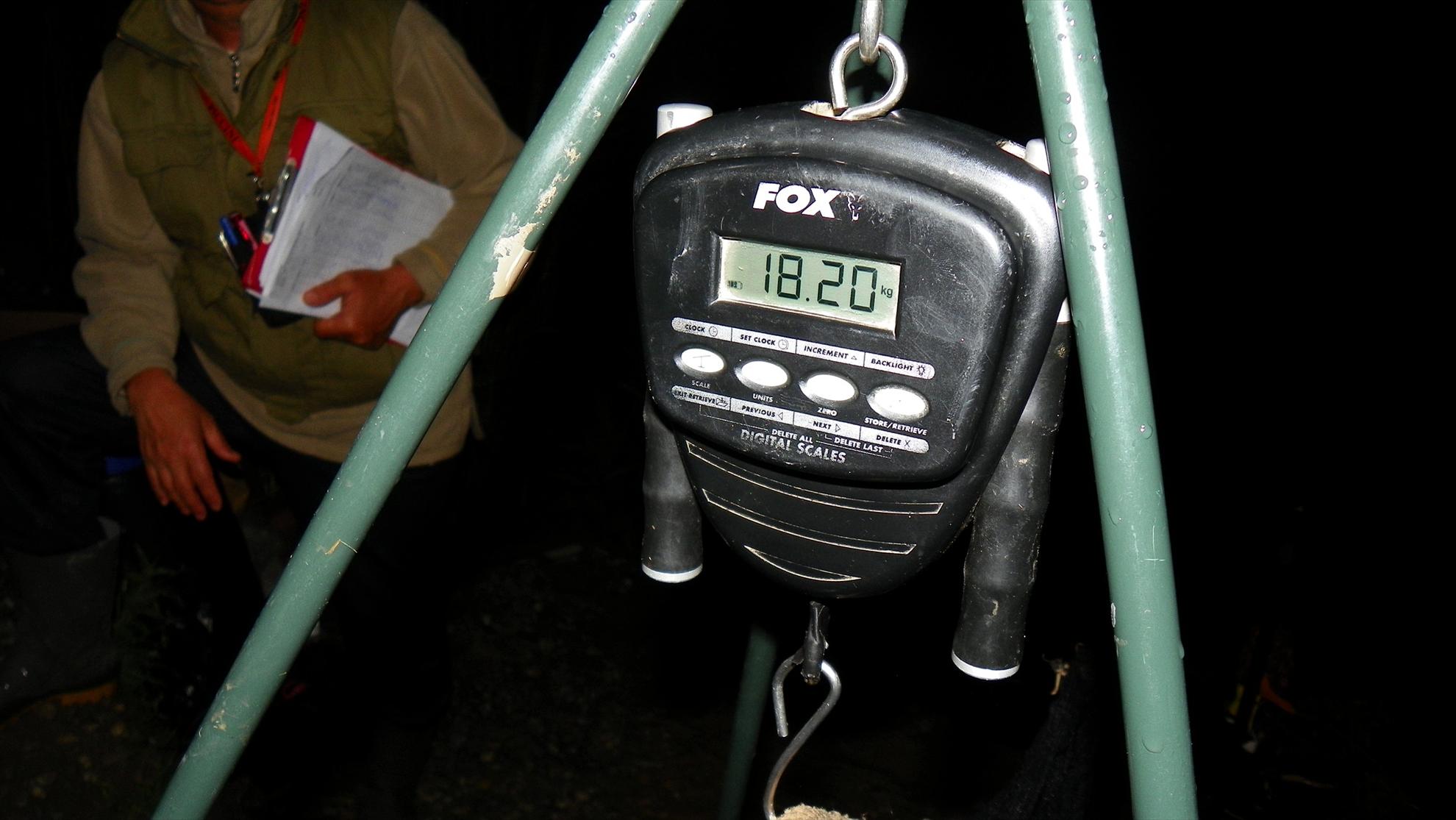 Crapmania (3) - 2011 - 1001654.JPG